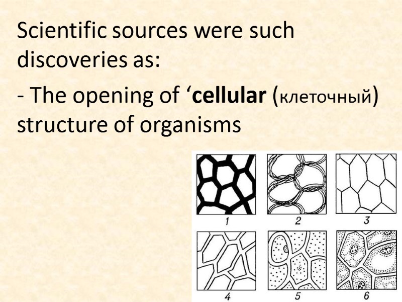 Scientific sources were such discoveries as: - The opening of ‘cellular (клеточный) structure of